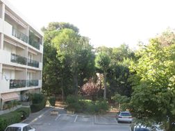 Photo n°1