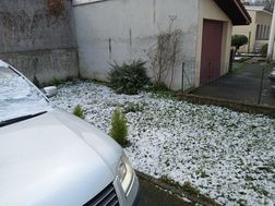 Photo n°6