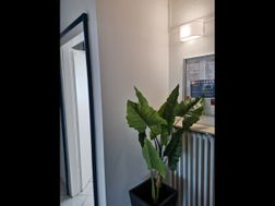 Photo n°1
