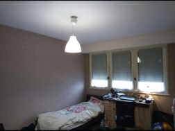 Photo n°1