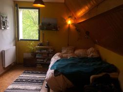 Photo n°1