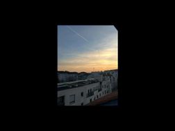 Photo n°7