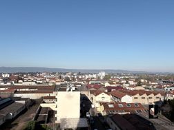 Photo n°5