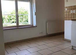 Photo n°8