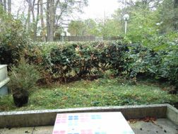 Photo n°3