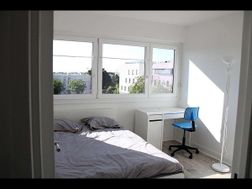 Photo n°5