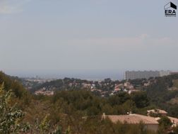 Photo n°2