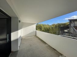 Photo n°1