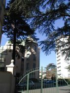 Photo n°3