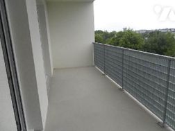Photo n°6