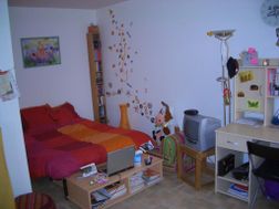 Photo n°1