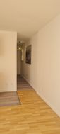 Photo n°2