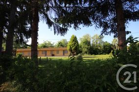 Photo n°5