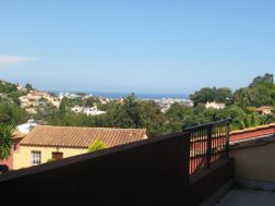 Photo n°3