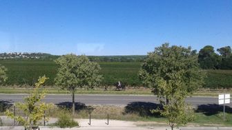 Photo n°6