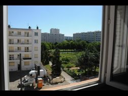 Photo n°6