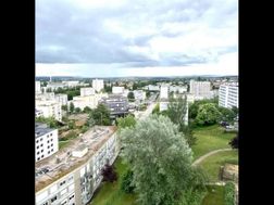 Photo n°8