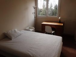 Photo n°3