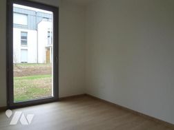 Photo n°4