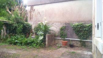 Photo n°6
