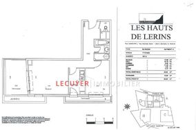 Photo n°7