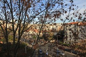 Photo n°4