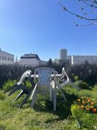 Photo n°4