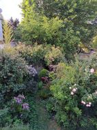 Photo n°3