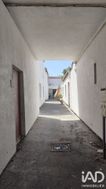 Photo n°6