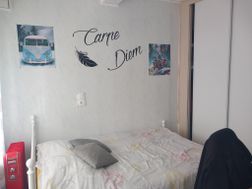 Photo n°3
