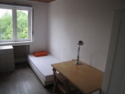 Photo n°1