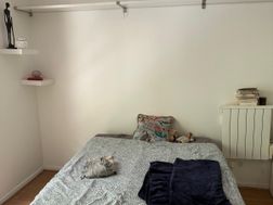 Photo n°3