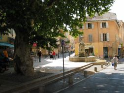 Photo n°5