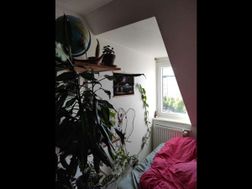 Photo n°13