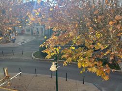 Photo n°4