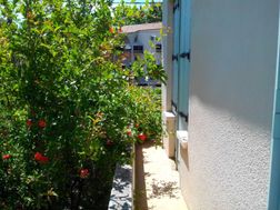 Photo n°4