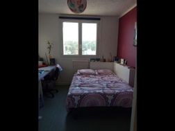 Photo n°5