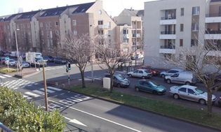 Photo n°5