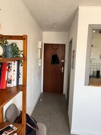 Photo n°6