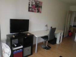 Photo n°1