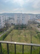 Photo n°8