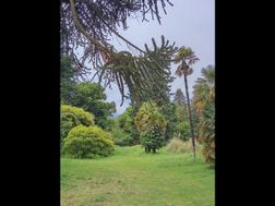 Photo n°5