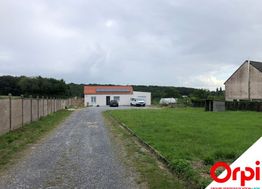 Photo n°13