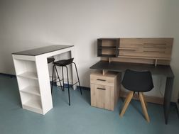 Photo n°4