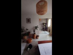 Photo n°1
