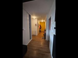 Photo n°9