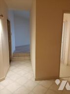 Photo n°6