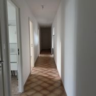 Photo n°5
