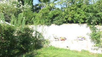 Photo n°3