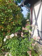 Photo n°3